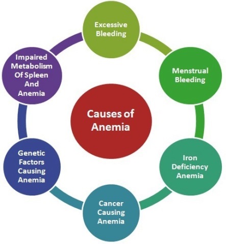 Causes for anemia