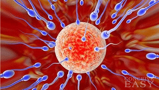 infertility