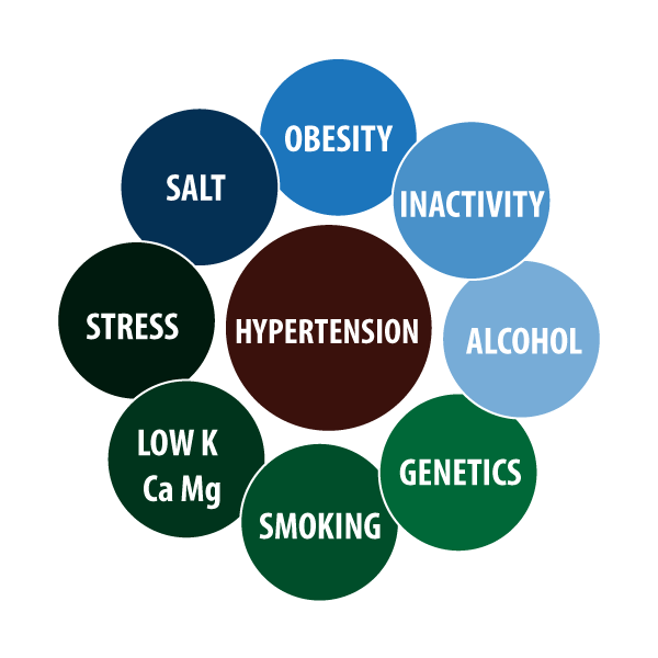 Causes of high blood pressure