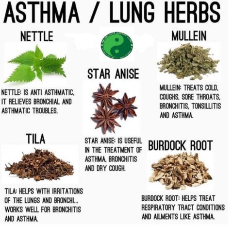 Asthma Treatment | Philadelphia Homeopathic Clinic | Dr. Tsan