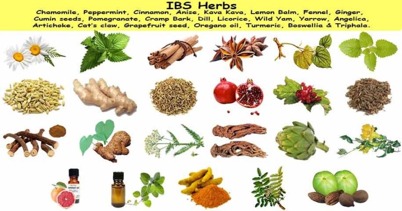 Treatment For IBS - Philadelphia Homeopathic Clinic - Dr. Tsan & Assoc.