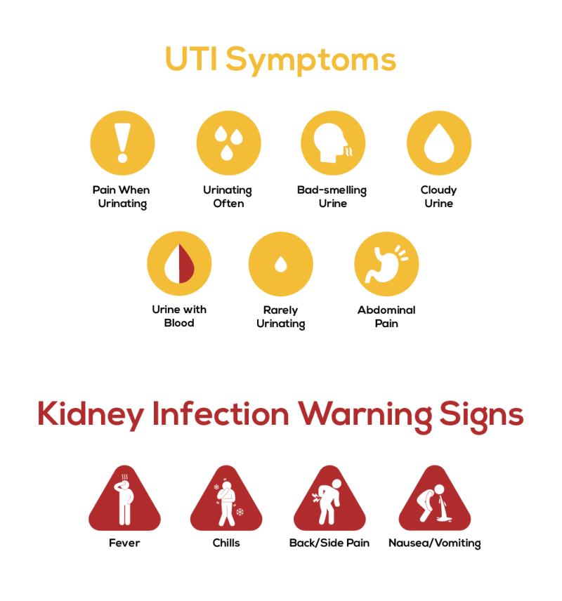 UTI vs Kidney infection symptoms