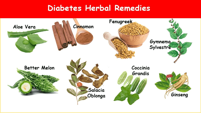 Diabetes Treatment using Herbal Medicines