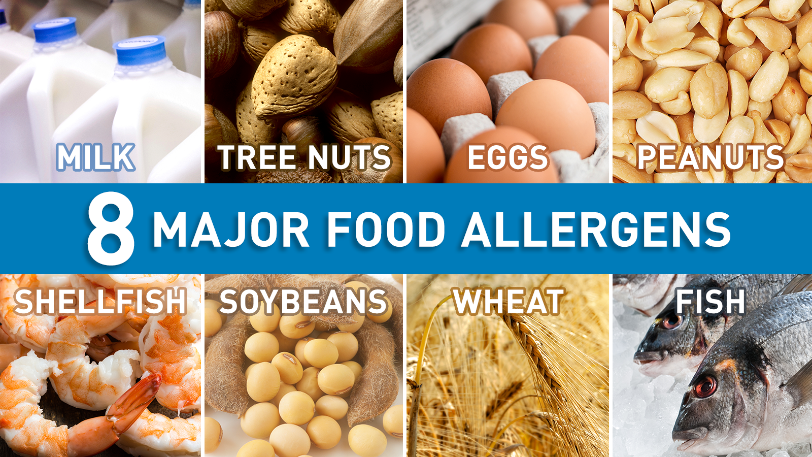 Major food allergens