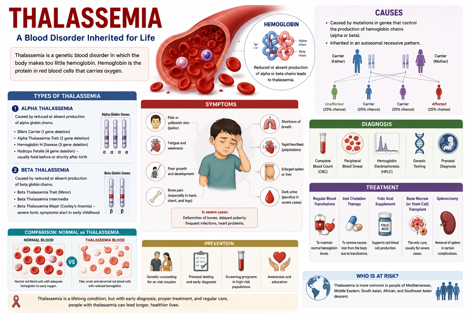 Thalassemia